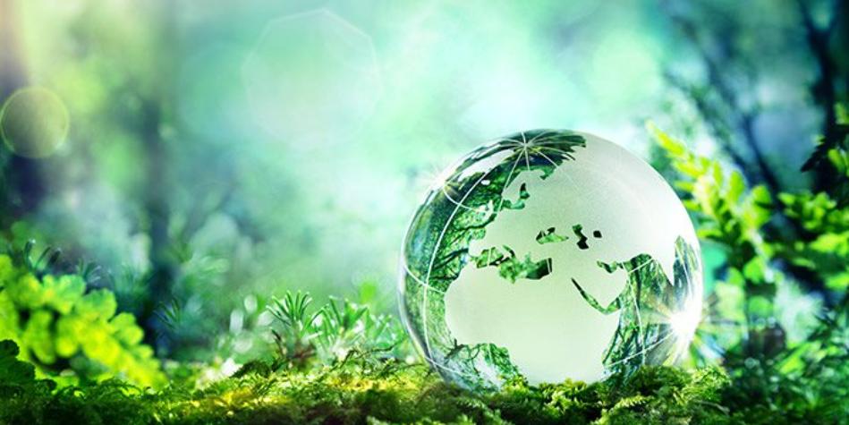 Sustainability Regulations